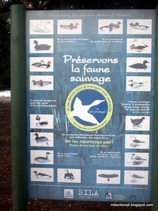 Preserve us from the savage fauns