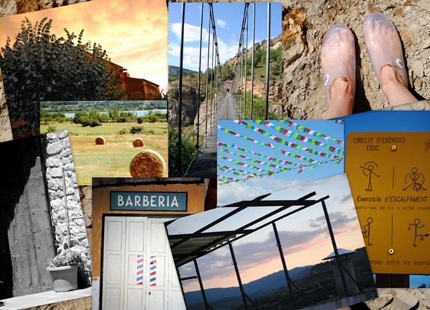 pallars jussa 2010