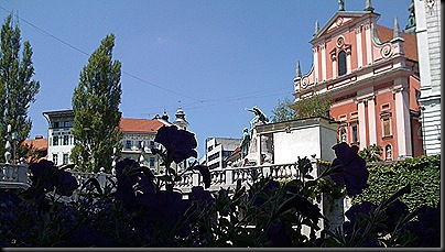 IMG_0006 IMG_0006