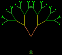 Turtle Tree