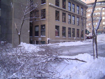 image of storm damage