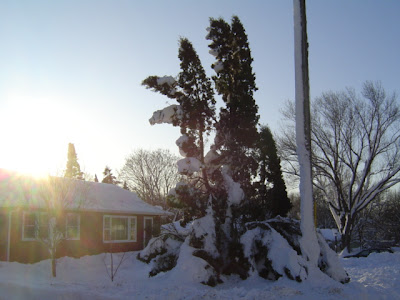 image of storm damage