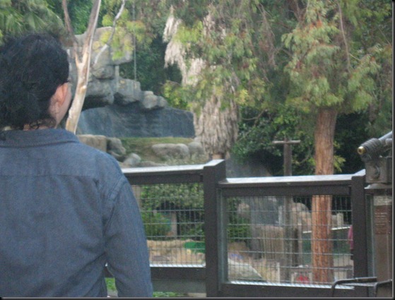 zoo! 075 zoo! 075