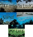 sagmeister2 sagmeister2