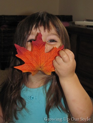 IMG_0069 IMG_0069