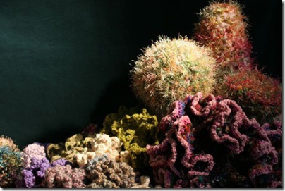 THE CROCHET CORAL REEF THE CROCHET CORAL REEF