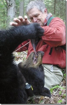 nationalgeographic_a_man_among_bears