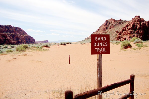 [060609_snowcanyon_sand1[2].jpg]