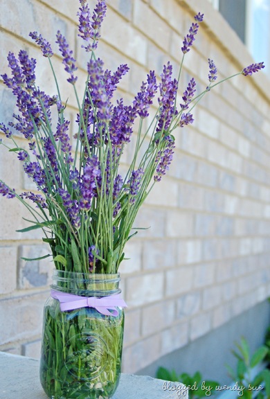 [071609_lavender[2].jpg]