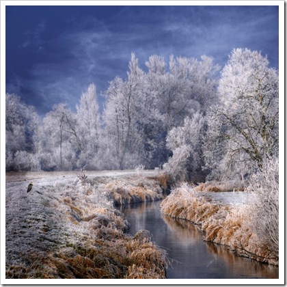 Фотограф Philippe Sainte-Laudy