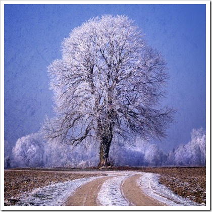 Фотограф Philippe Sainte-Laudy