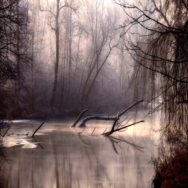 [prosvit-photo_philippe-sainte-laudy_04[2].jpg]