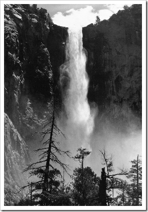 Фотограф Ансель Адамс prosvit-photo_ansel-adams_Bridalveil-Fall Фотограф Ансель Адамс prosvit-photo_ansel-adams_Bridalveil-Fall