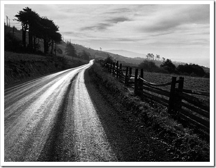 Фотограф Ансель Адамс prosvit-photo_ansel-adams_Road-after-Rain-Northern-California Фотограф Ансель Адамс prosvit-photo_ansel-adams_Road-after-Rain-Northern-California