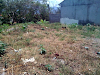 Lote Barva De Heredia 1