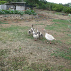 IMG_3507.JPG