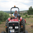 IMG_3550.JPG