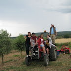 IMG_3482.JPG