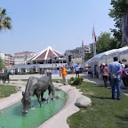DSCN2744.jpg