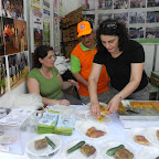 DSCN2764.jpg