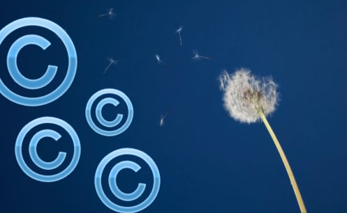 [Copyright debate[4].jpg]