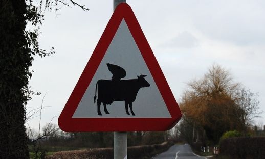[flying cow sign[4].jpg]