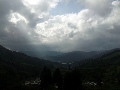 DSC00502