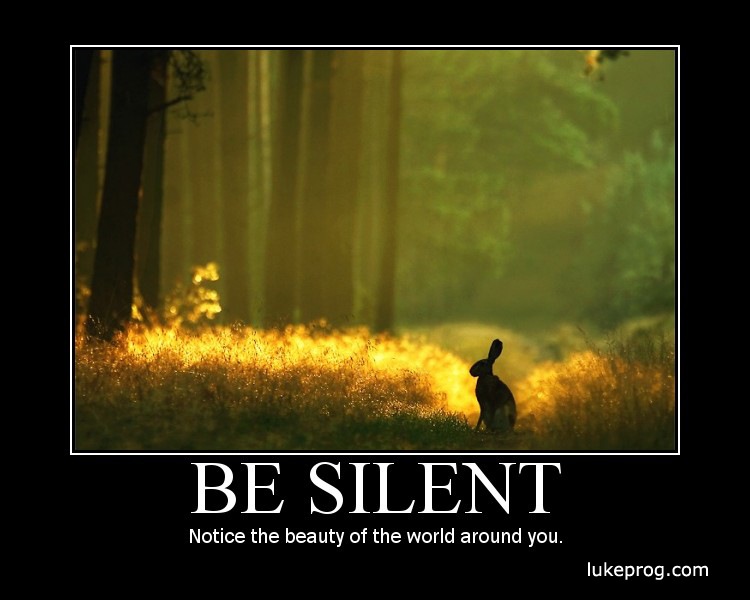 [43-Be Silent[5].jpg]