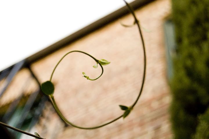 Digital art selected for the Daily Inspiration #670