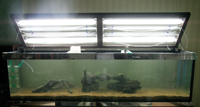 [Acquario 2[7].jpg]