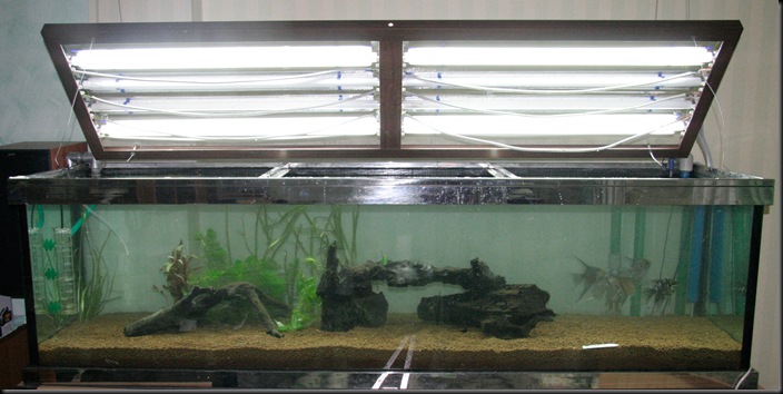 Acquario 3