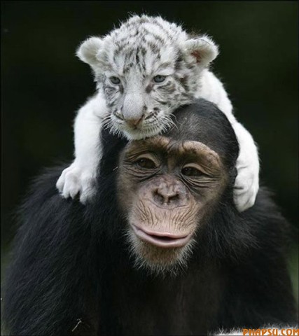 cute_moments_of_640_72.jpg