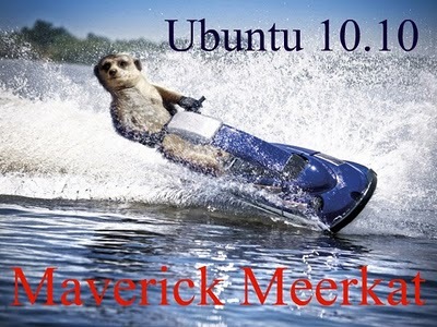 Meerkat-jetski