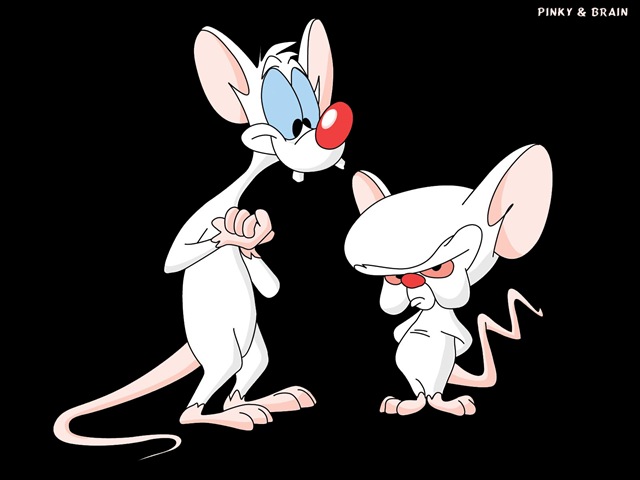 [Pinky & Brain[2].jpg]