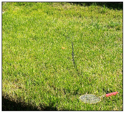 P3244219[1]