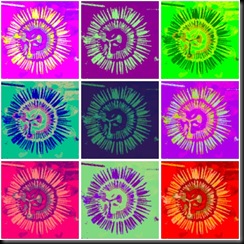lunapic-1warhol 9 with saturated imagejpg