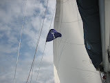 South Carolina Flag on Charter Boat