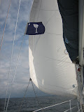 South Carolina Flay on Charter Boat