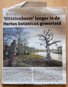 krant