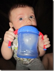 Sippy Cup 004