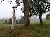 SDC14761.JPG Photo