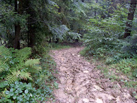 SDC14764.JPG Photo