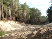 SDC14986.JPG Photo