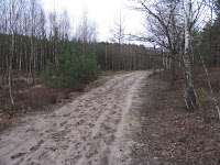 IMG_0223.JPG Photo