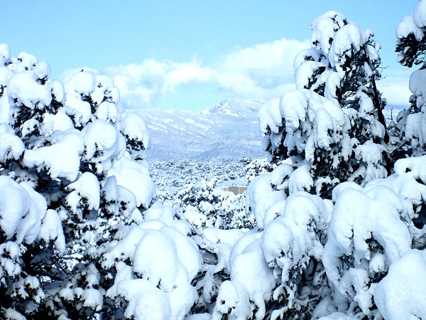[BackYardView_031510[4].jpg]