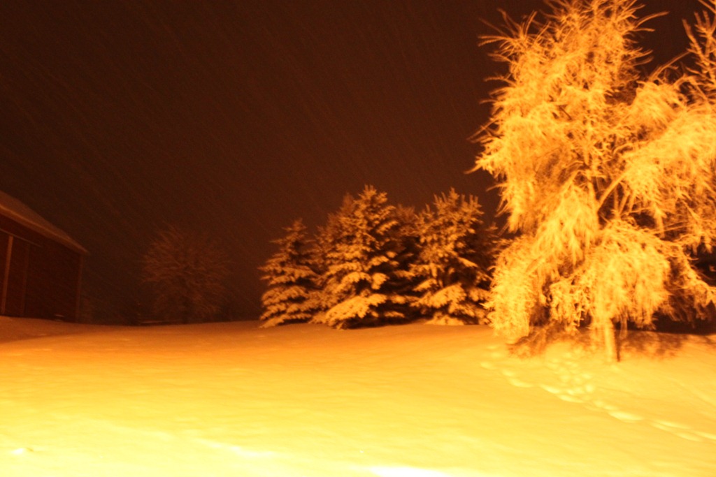 [20101211_344[4].jpg]