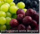 portuguese-wine.blogspot