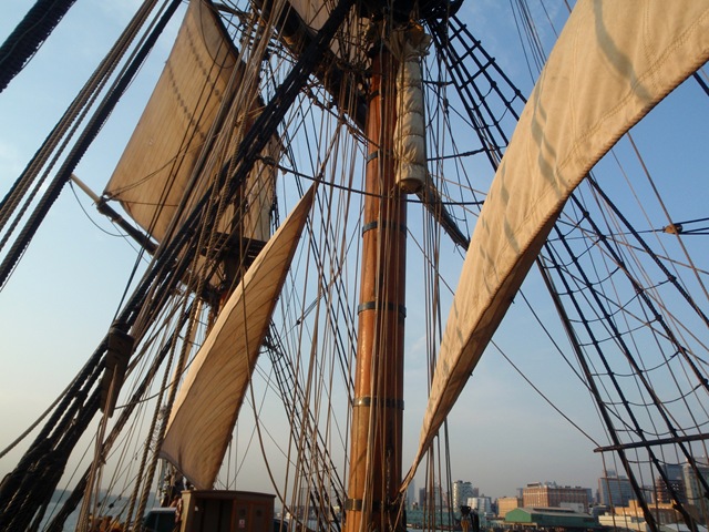 [P62501323.jpg]