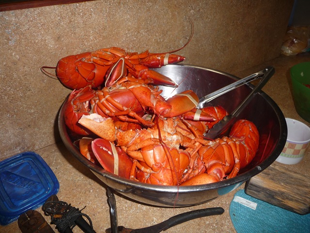 [0493.jpg]
