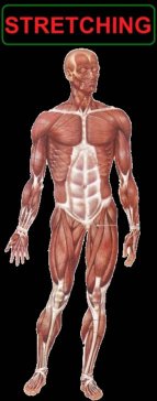 stretching per il ciclista
